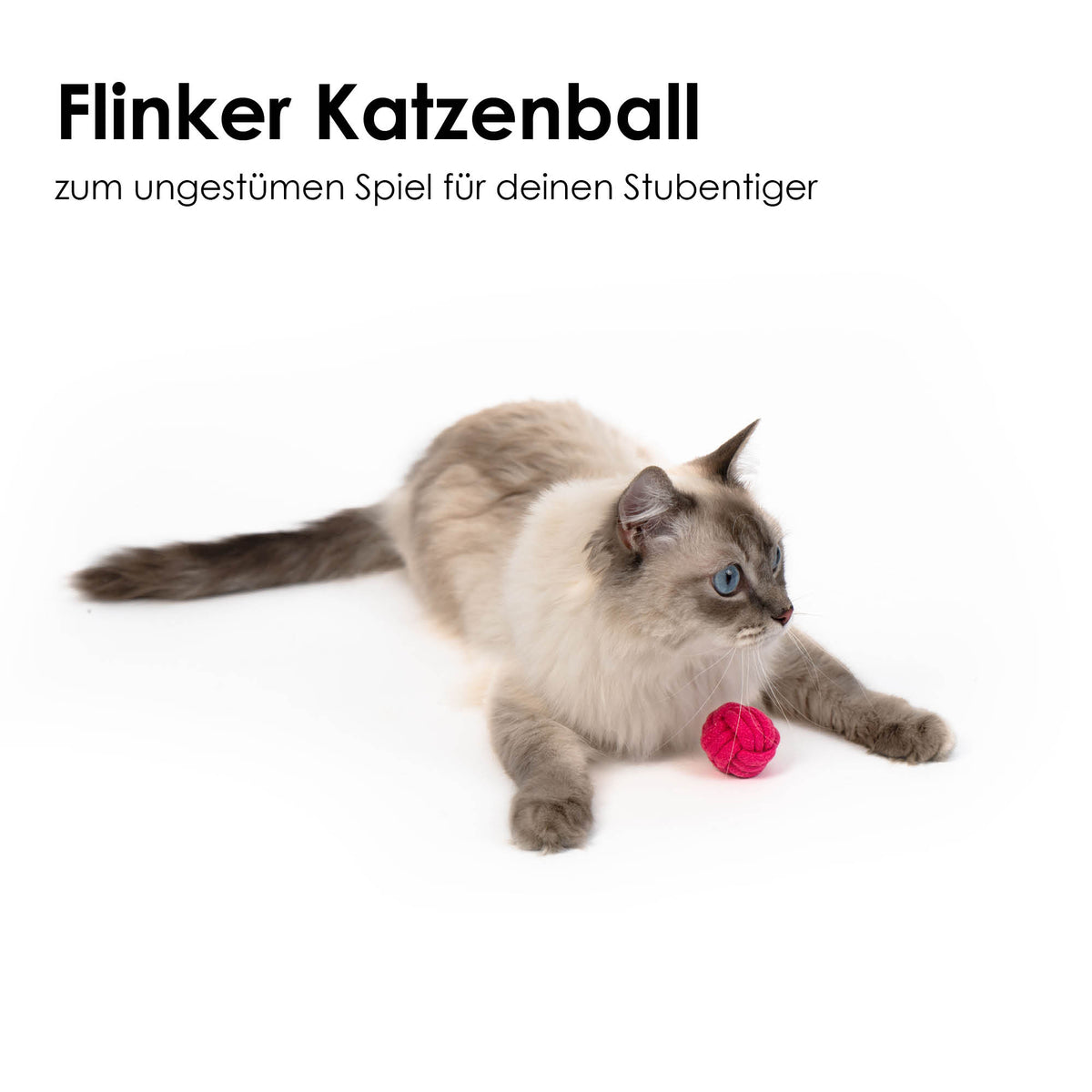 Gatto gioca con la pallina KNOT BALLS rosa