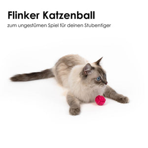 Gatto gioca con la pallina KNOT BALLS rosa