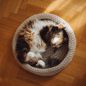 Outlet: BASKET Katzenbett