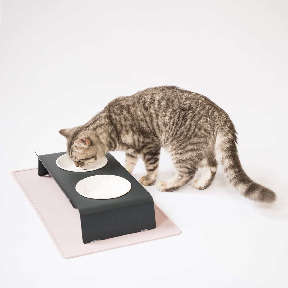 Gatto mangia da ciotole BOWL in melamina in una stazione di alimentazione scura