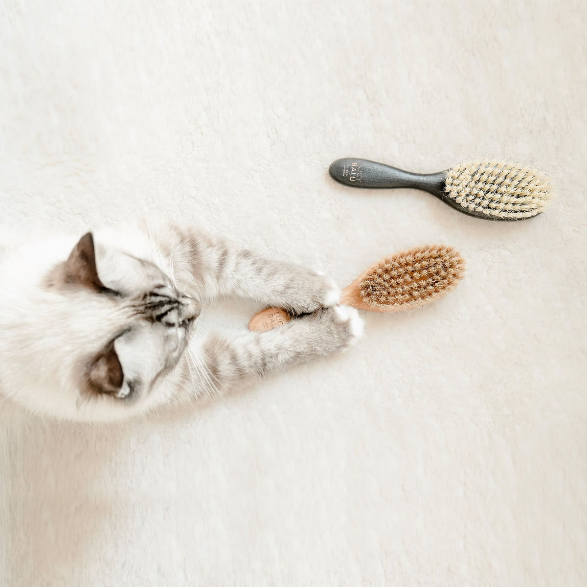 Deux brosses pour chat FIGARO photographiées d'en haut, un chat tendant ses pattes vers elles