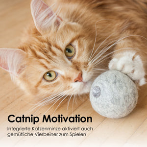 Un chat roux jouant avec la balle en feutre MINT BALL grise, l'herbe à chat intégrée active même les félins les plus tranquilles
