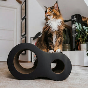 Katze sitzt auf der anthrazitfarbenen PLAYGROUND Kratzhöhle im Wohnzimmer