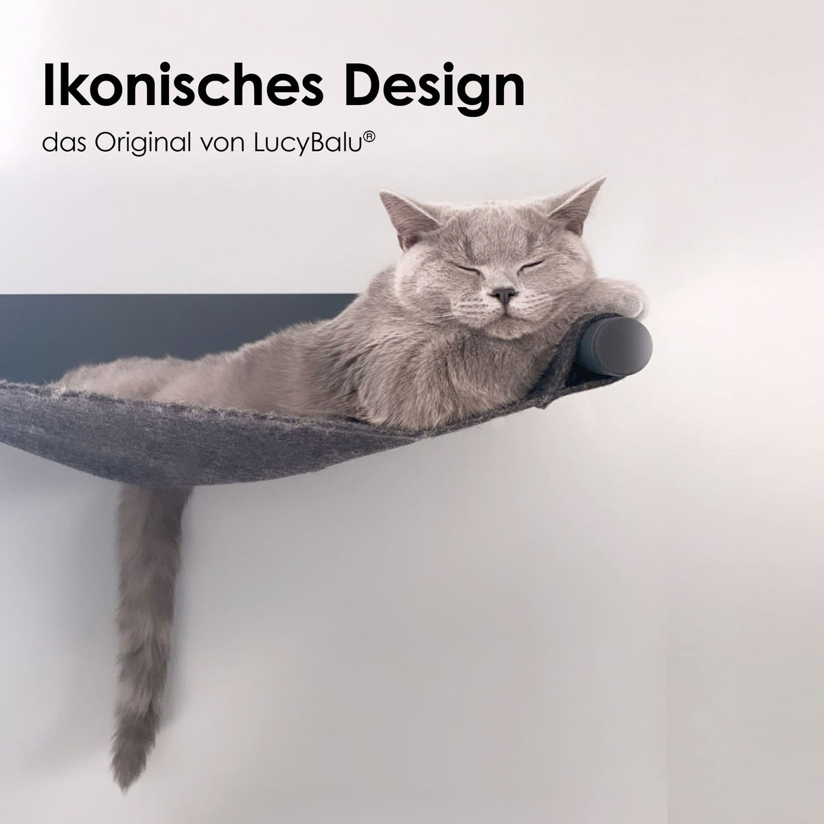 Gatto grigio sdraiato rilassato sull'amaca da parete SWING in feltro con supporto in metallo nero – design iconico di LucyBalu.