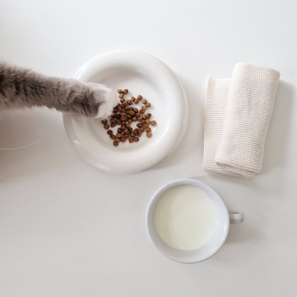 Bol pour chat DROP en blanc brillant avec croquettes – composition à plat avec patte de chat et tasse de lait.