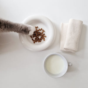 Bol pour chat DROP en blanc brillant avec croquettes – composition à plat avec patte de chat et tasse de lait.