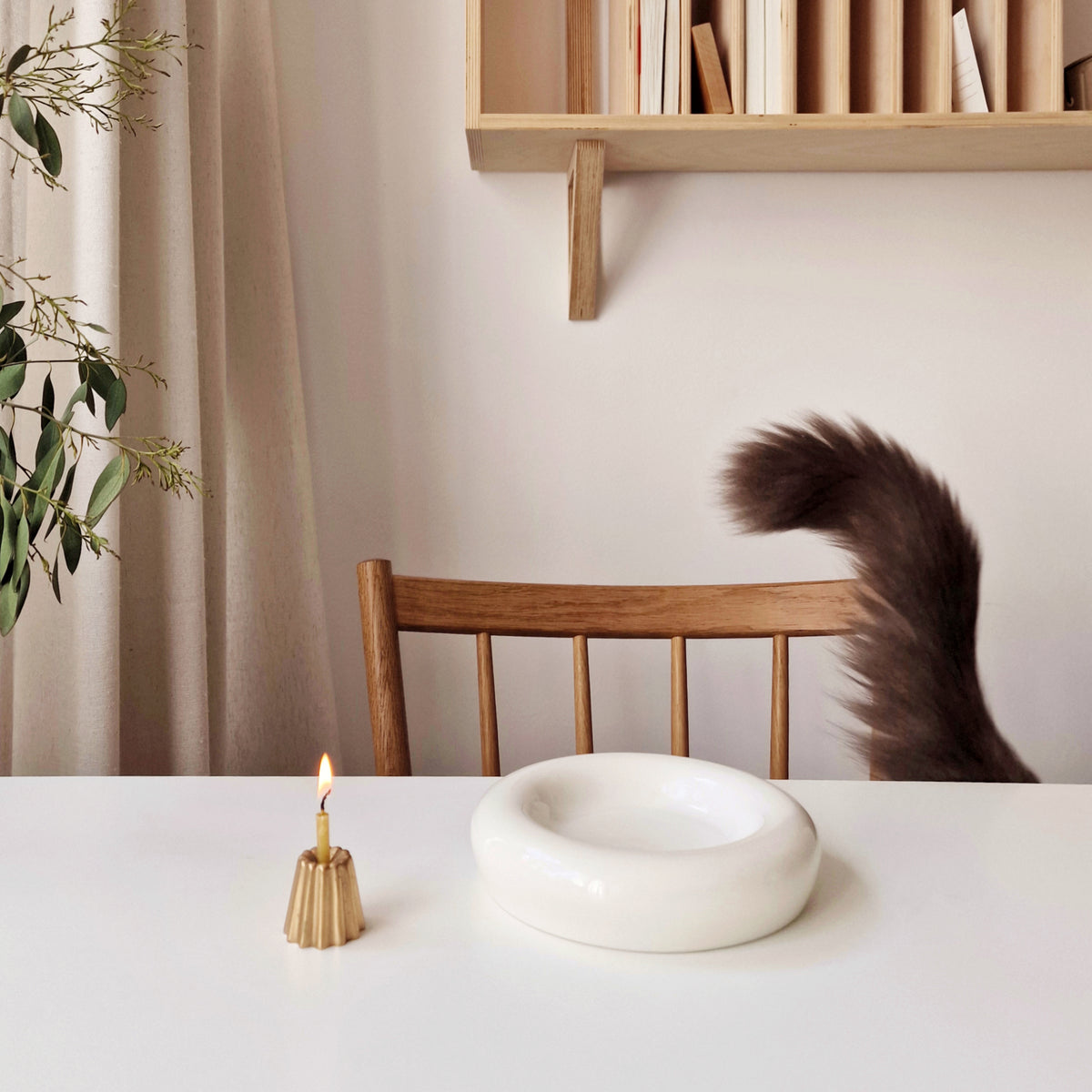 Bol pour chat DROP en blanc brillant sur la table à manger – design en porcelaine élégant avec un chat en arrière-plan.