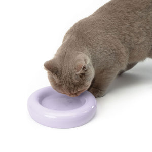 Un chat buvant dans le bol pour chat DROP en lilas mat – design à forme organique.
