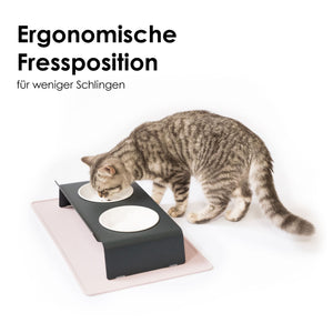 Stazione pasti DINE in antracite: posizione ergonomica per mangiare, riduce l'ingestione veloce, gatto tigrato che mangia