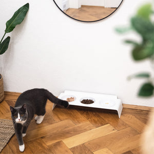 Gatto che cammina accanto alla stazione pasti BUFFET rialzata in bianco – posizione ergonomica per mangiare.