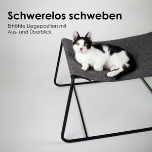Kitten liegt auf der grauen FLOAT Hängematte – erhöhte Liegeposition mit Überblick