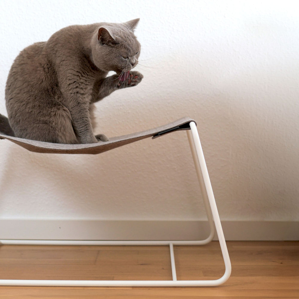 Katze putzt sich auf der FLOAT Hängematte mit weißem Metallgestell