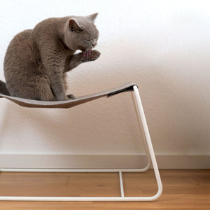 Katze putzt sich auf der FLOAT Hängematte mit weißem Metallgestell