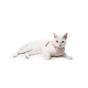 Weiße Katze liegt mit rosa EXPLORER Katzengeschirr Hello Kitty Edition