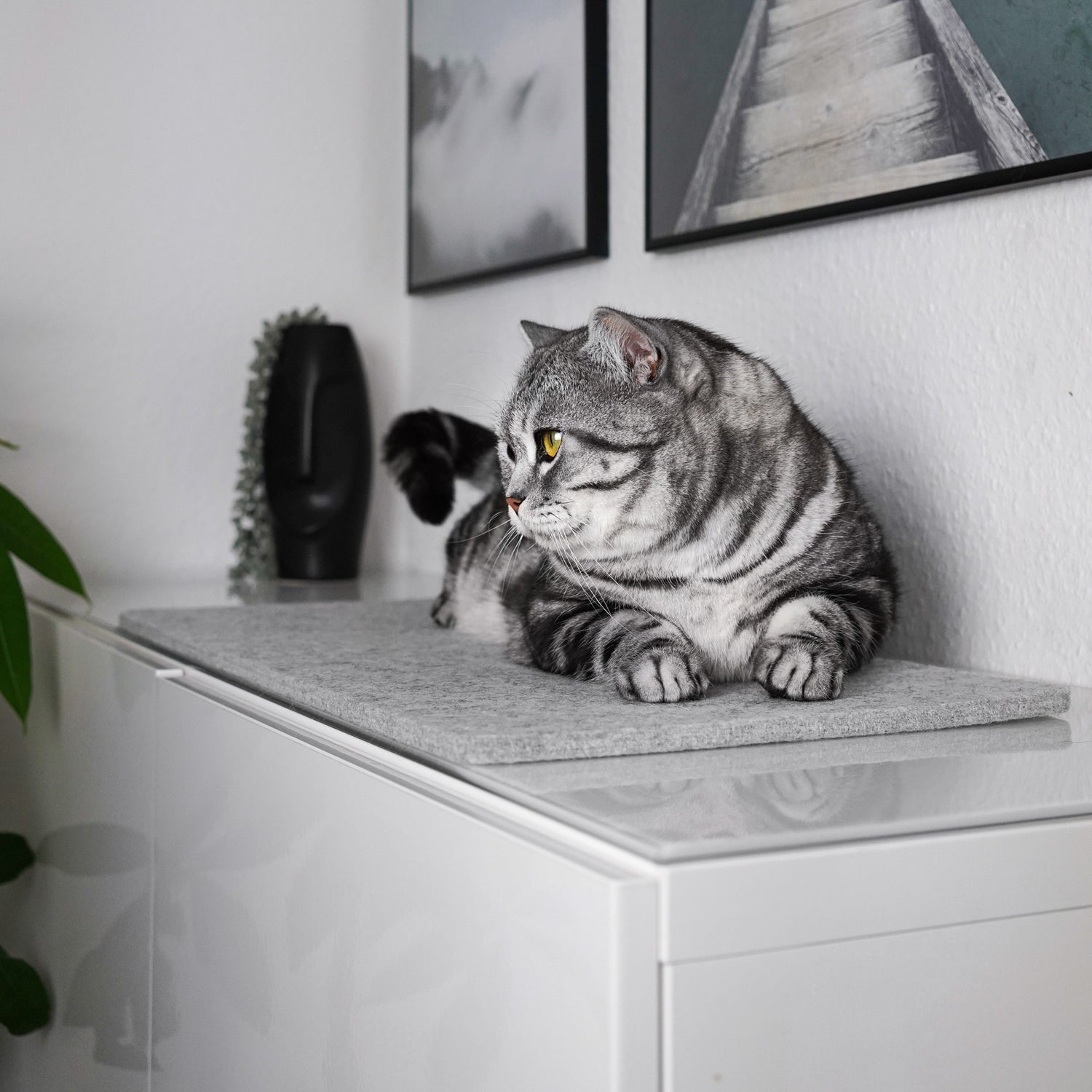 Getigerte Katze liegt auf grauer FELTY Fensterbrettauflage aus Wollfilz auf einem Sideboard