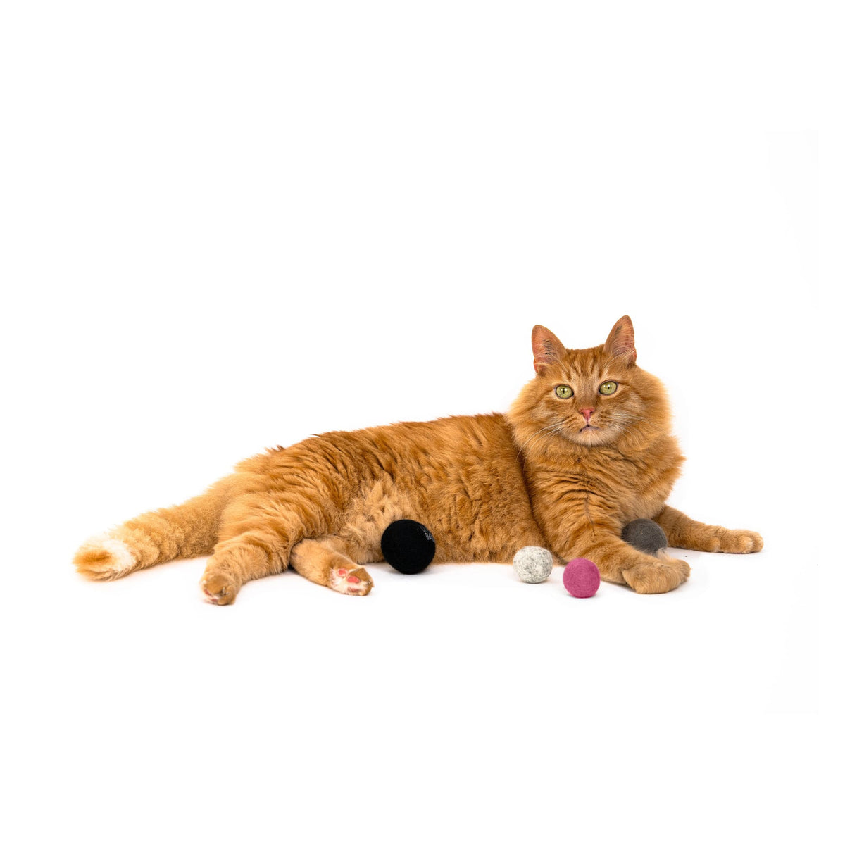 Katze liegt neben JOY BAG Filzbällen