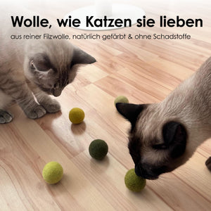 Des chats avec les balles en feutre MATCHA MIX – de la laine comme les chats l'aiment