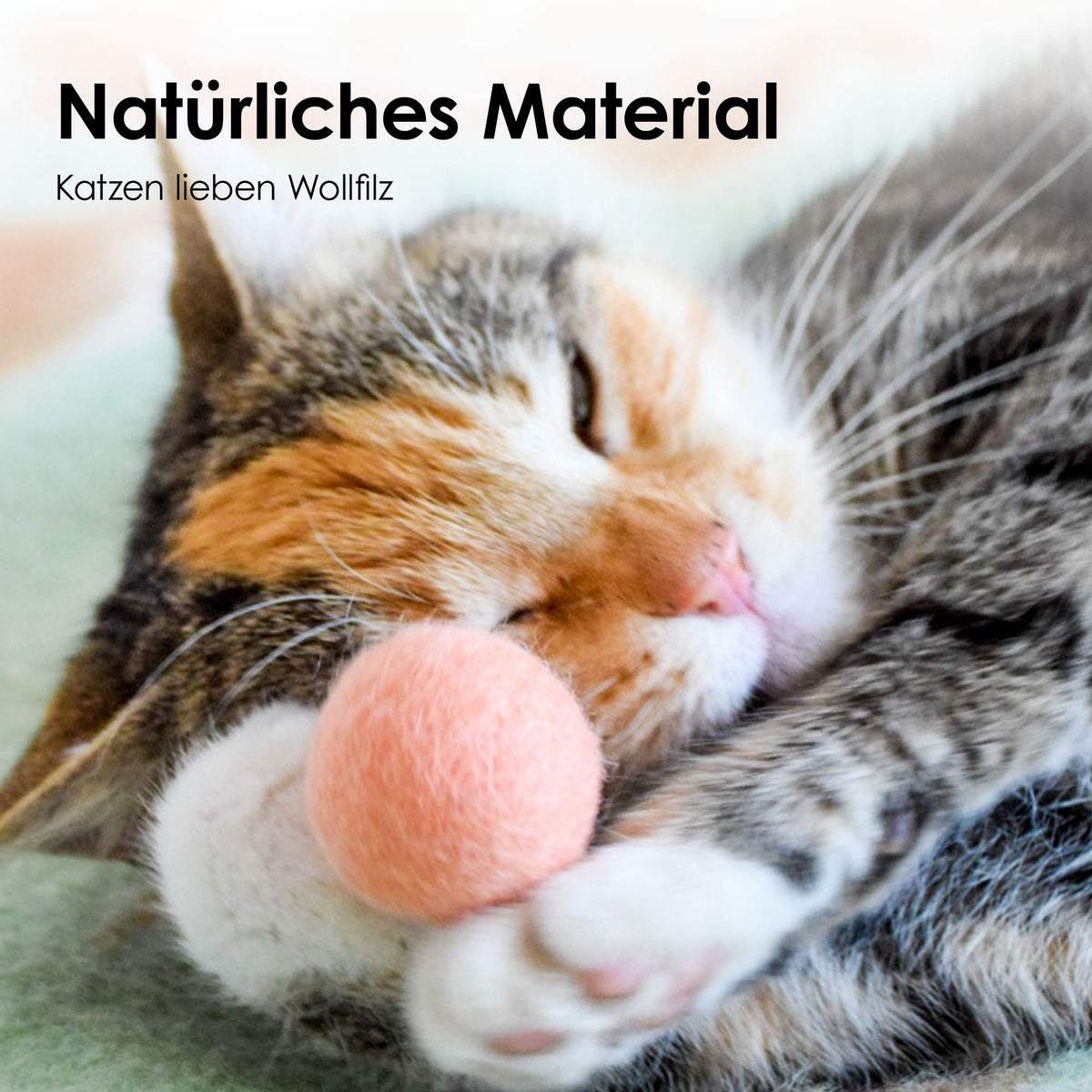 Gatto coccola una pallina di feltro RAINBOW BALLS in feltro di lana naturale