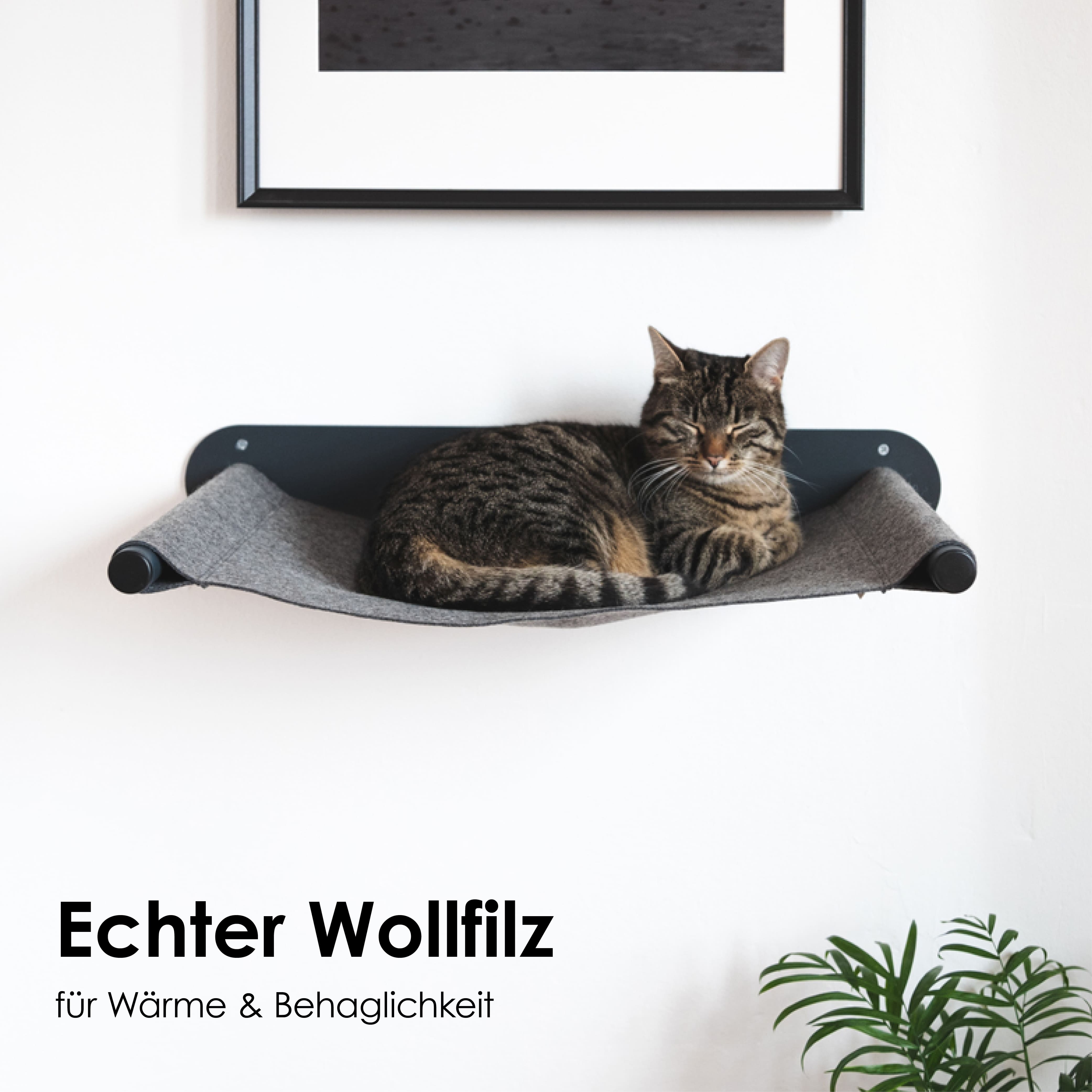 Getigerte Katze liegt zusammengerollt auf der SWING Hängematte aus Wollfilz, montiert unter einem gerahmten Bild an der Wand.