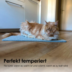 Katze liegt entspannt auf blaugrauer FELTY Filzauflage auf dem Boden – perfekt temperiert