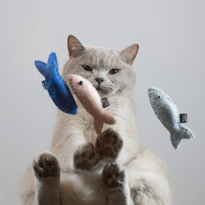 Gatto cattura pesci di feltro SARDINES in blu, rosa e grigio