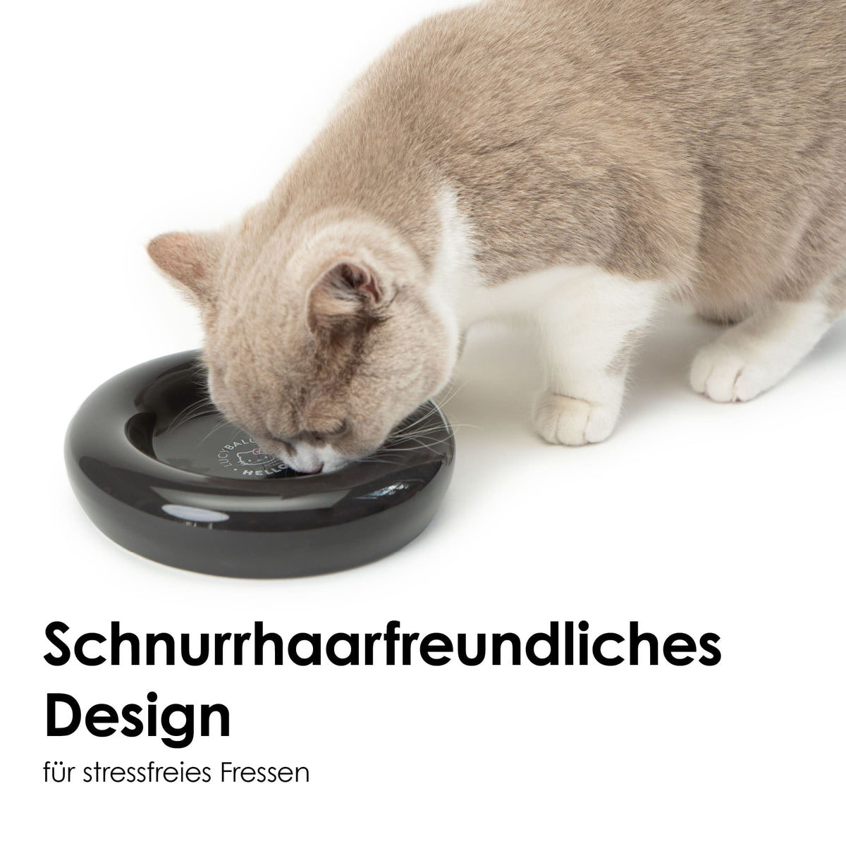 Katze frisst schnurrhaarfreundlich aus schwarzem DROP Katzennapf - Hello Kitty Edition