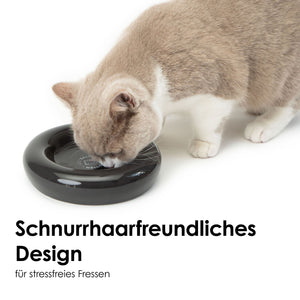 Katze frisst schnurrhaarfreundlich aus schwarzem DROP Katzennapf - Hello Kitty Edition