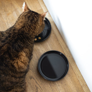 Un chat mangeant dans le bol en porcelaine BOWL en noir – deux bols sur un parquet.