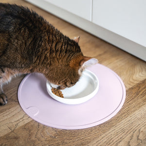 Un chat mangeant dans le bol en porcelaine BOWL en blanc sur un tapis en silicone rose.