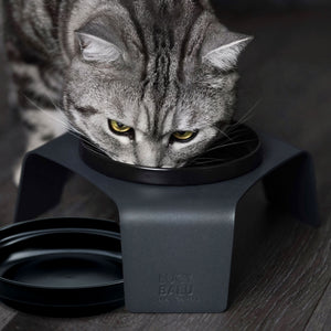 Gatto che mangia dalla vaschetta in porcellana DELI nera nella base color antracite, seconda vaschetta accanto