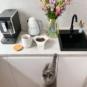 Gatto tigrato accanto al piano cucina con macchina da caffè e mazzo di fiori – un possibile posto per la ciotola DELI