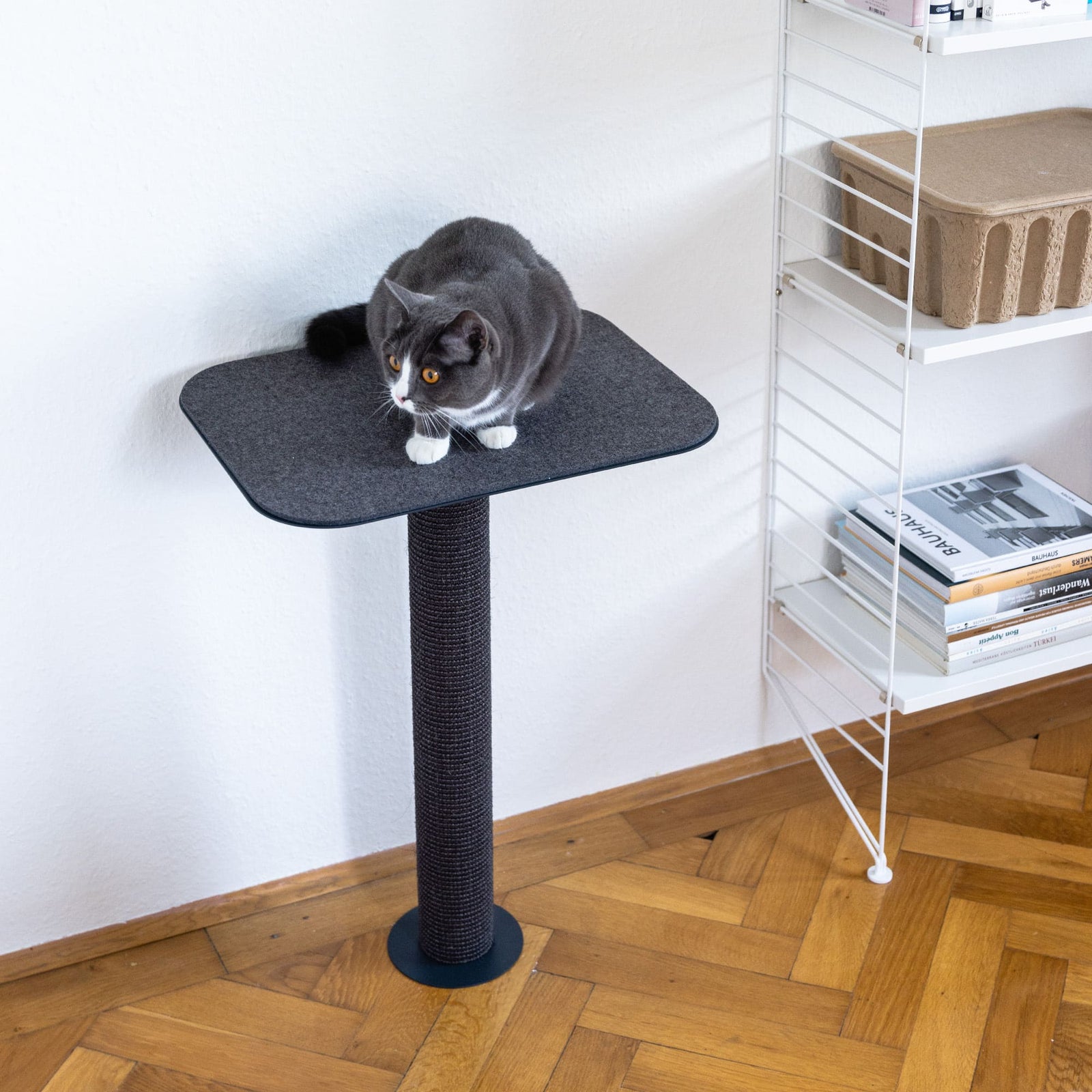 Katze sitzt auf anthrazitfarbener GALLERY Wandkratzbaum Liegefläche