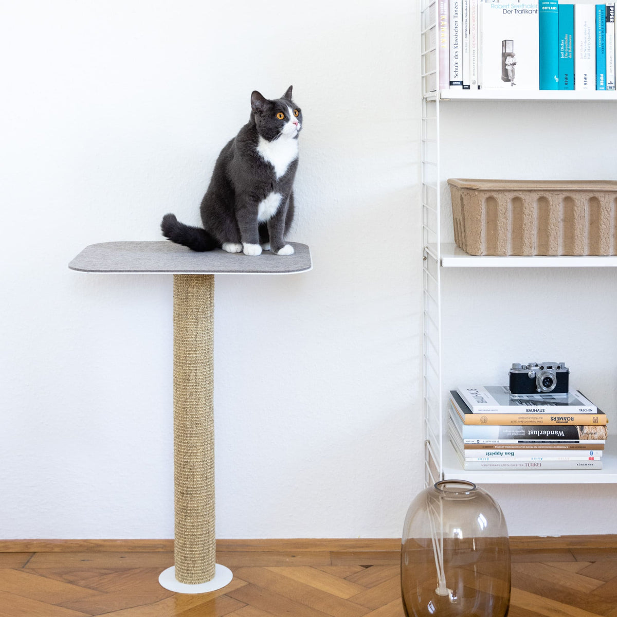 Katze sitzt auf weißem GALLERY Wandkratzbaum mit Sisalstamm