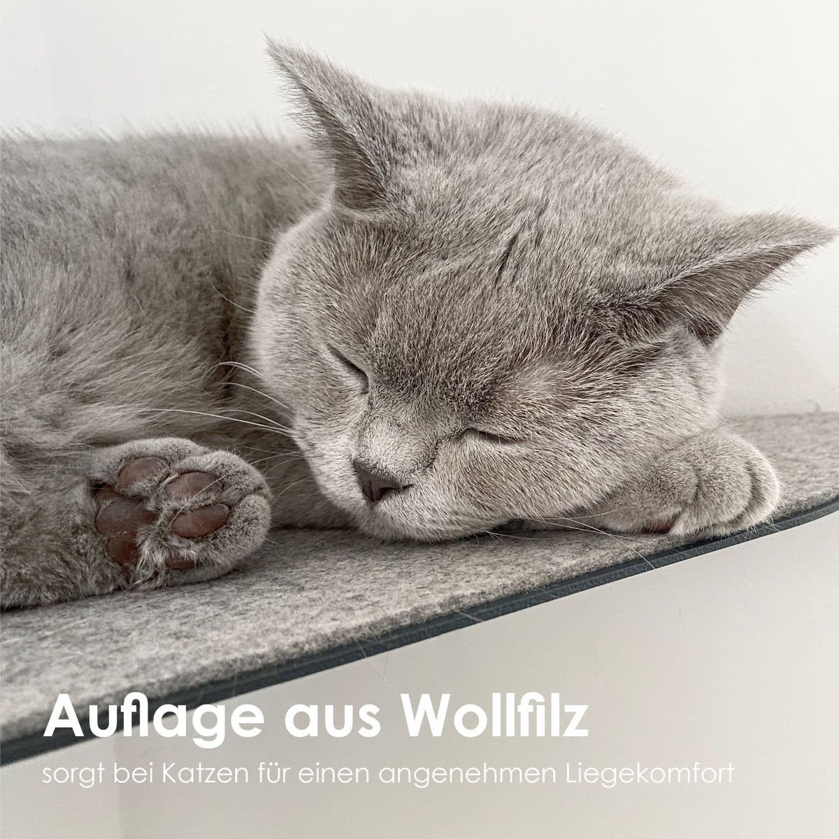Un chat dormant sur le coussin en feutre de laine douillet CORNER