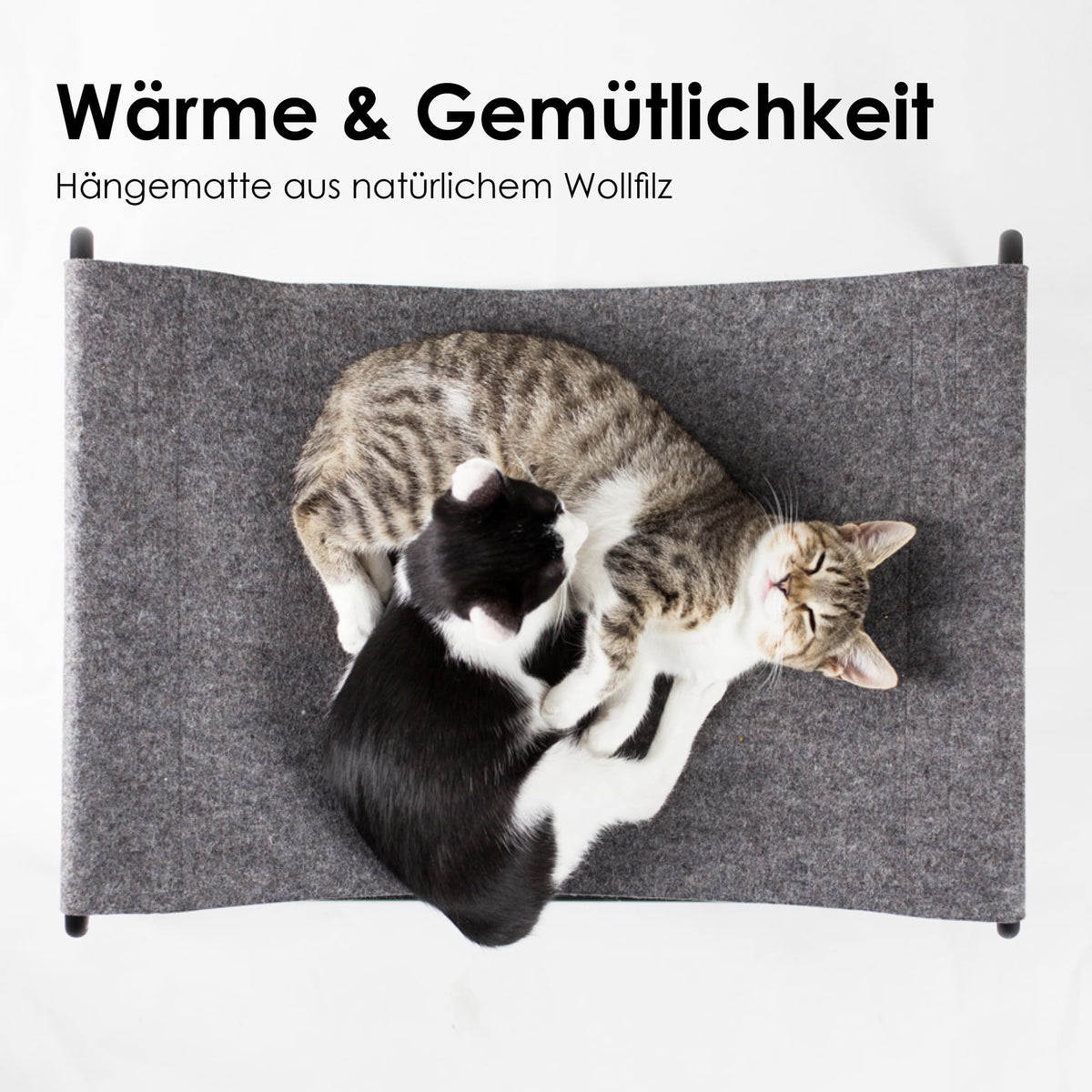 Zwei Katzen kuscheln auf der grauen FLOAT Hängematte aus Wollfilz von oben fotografiert