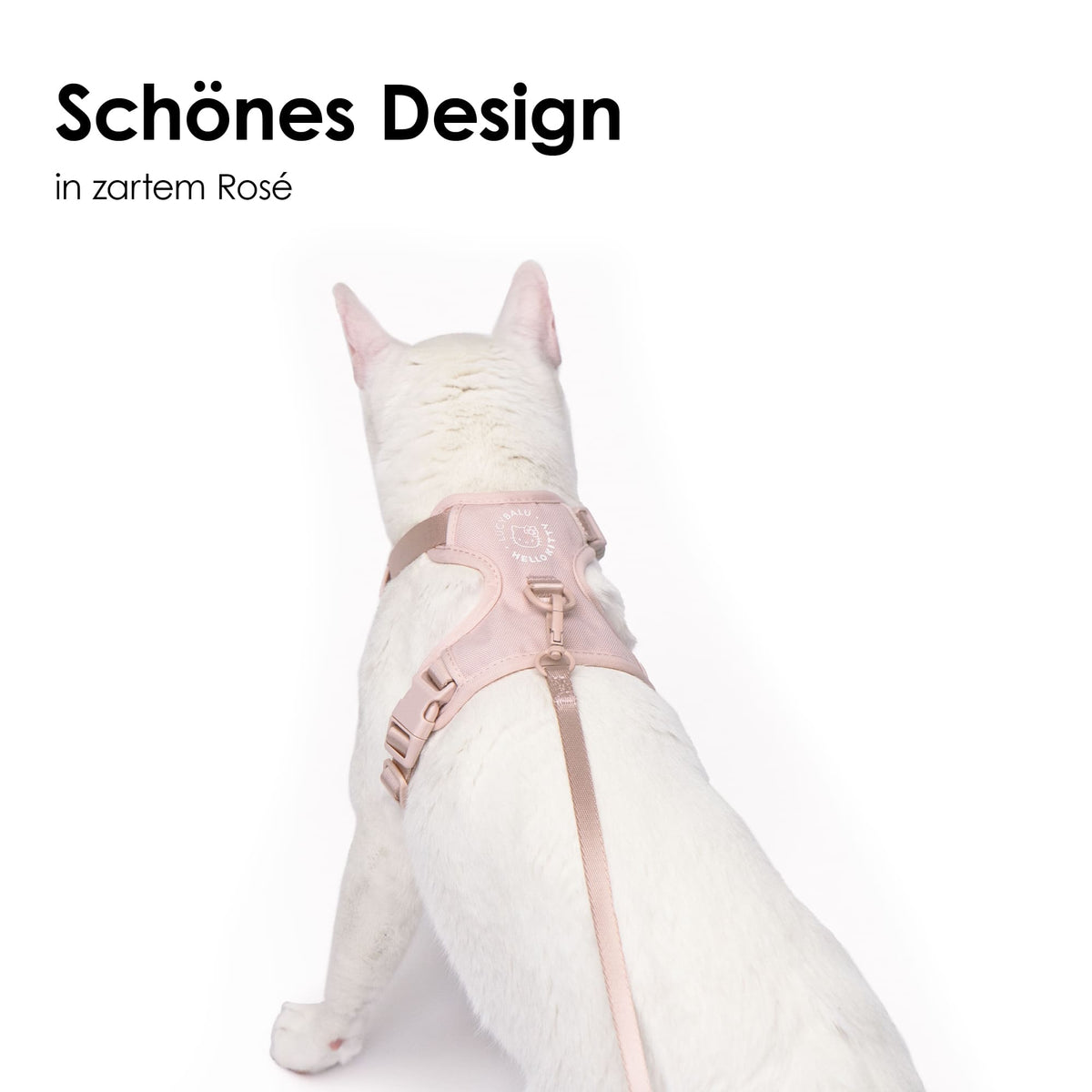 Weiße Katze von hinten mit rosa EXPLORER Katzengeschirr Hello Kitty Edition