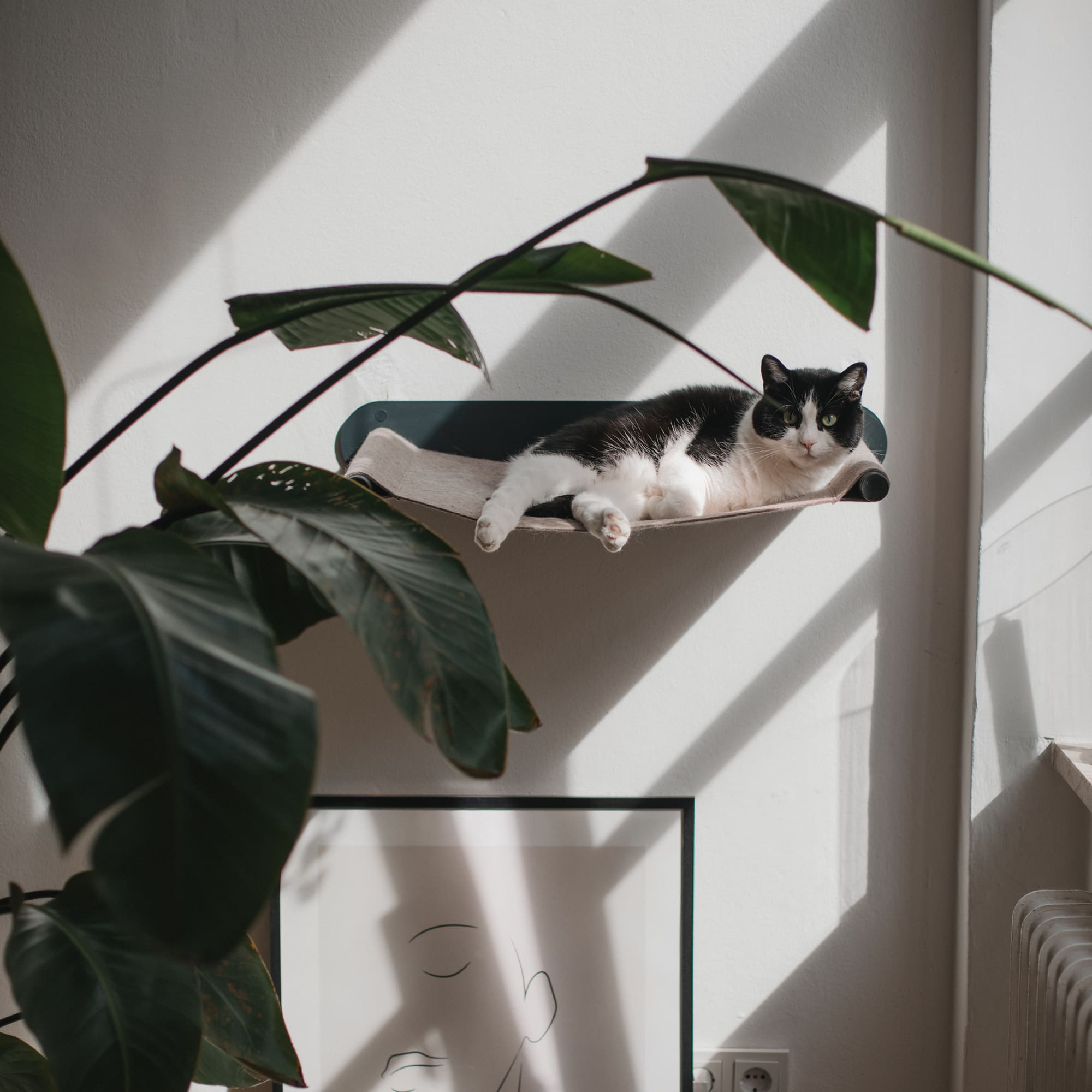 Schwarz-weiße Katze ruht auf der SWING Hängematte in Anthrazit/Sand über einem Kunstposter, umgeben von grünen Pflanzen.