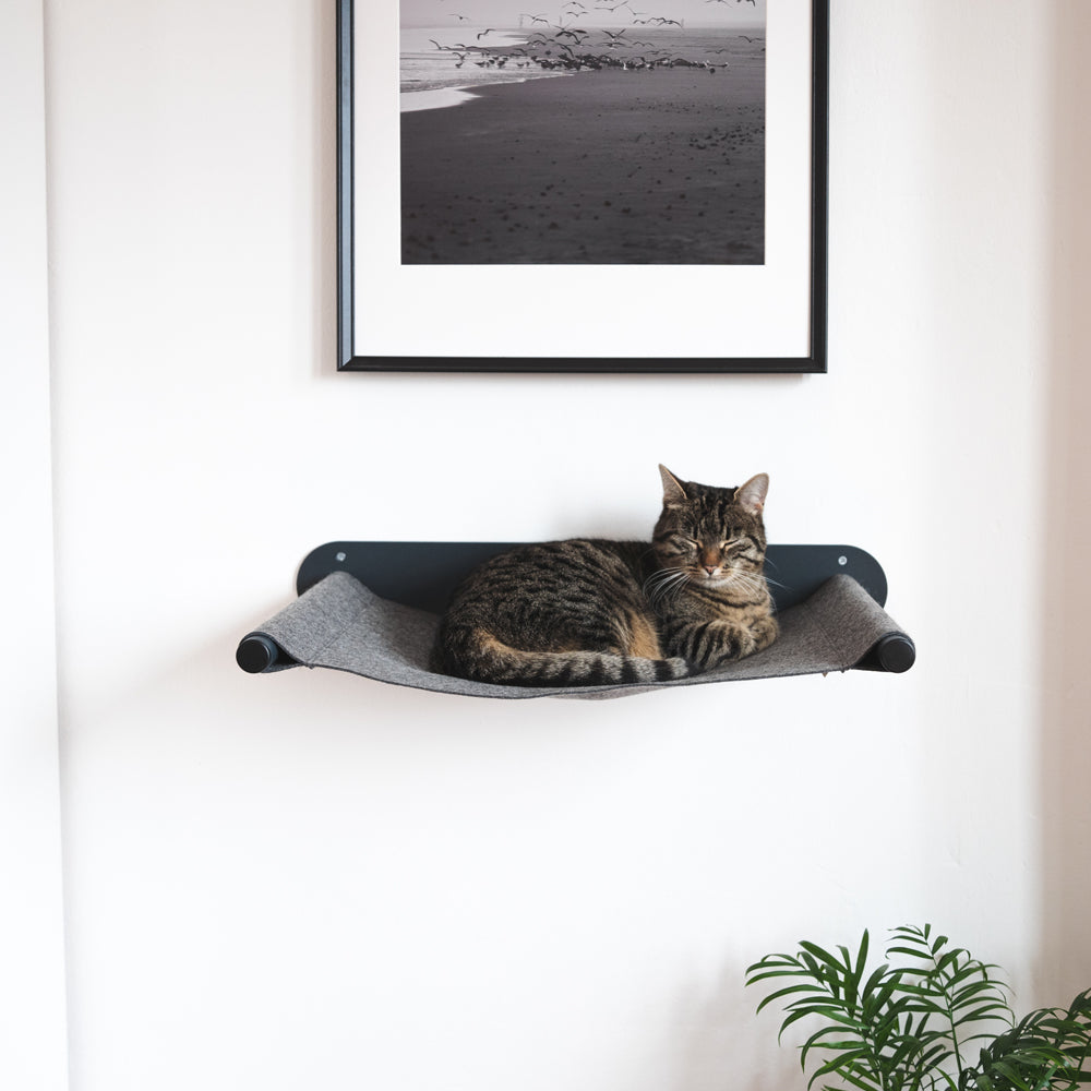 Getigerte Katze ruht entspannt in der grauen SWING Wandhängematte unter einem gerahmten Schwarz-Weiß-Foto.