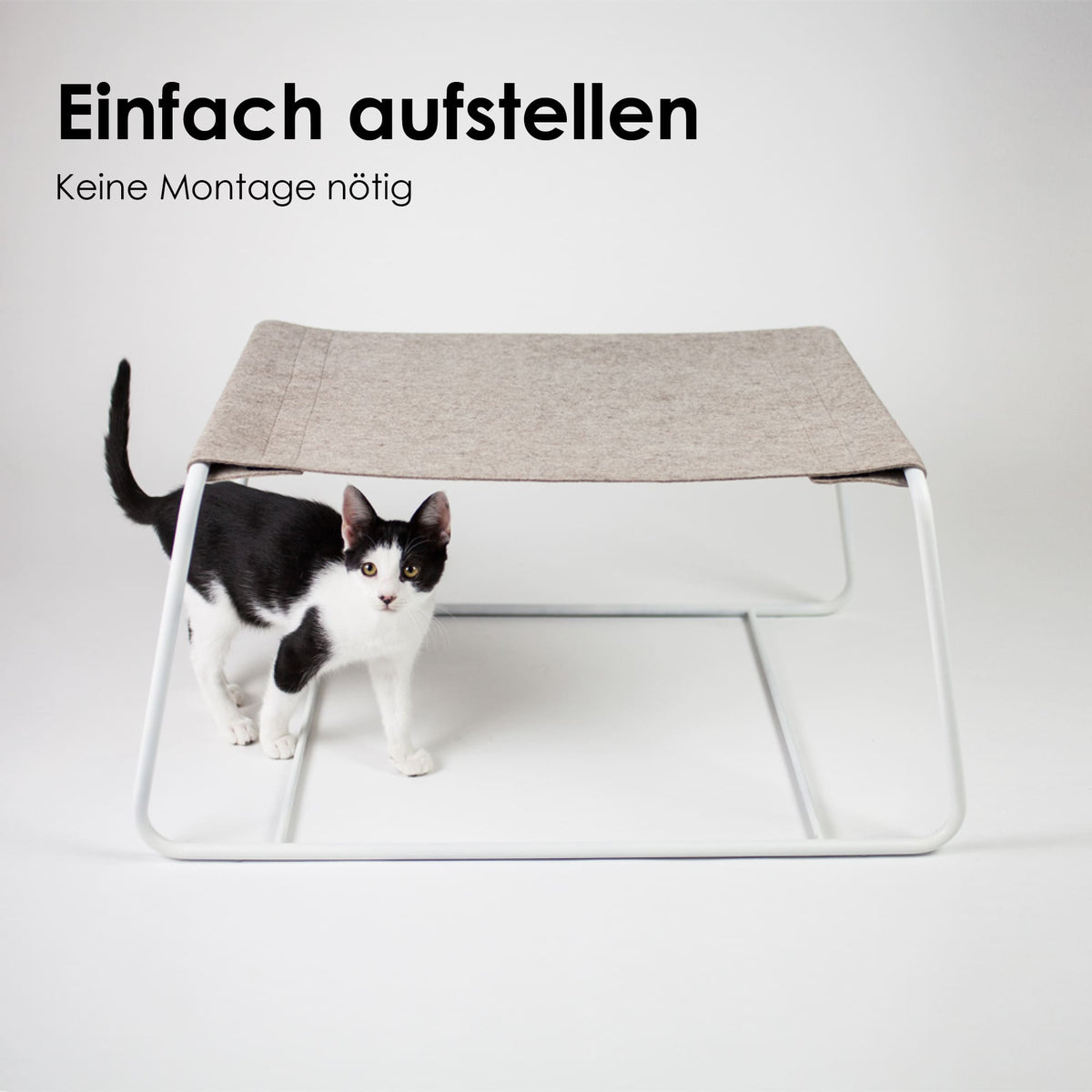Katze läuft unter der FLOAT Hängematte hindurch – einfach aufstellen ohne Montage