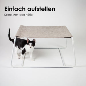Katze läuft unter der FLOAT Hängematte hindurch – einfach aufstellen ohne Montage