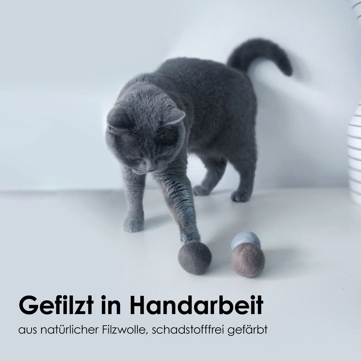 Gatto si avvicina alle palline di feltro SOUND BALLS con campanellino in lana infeltrita a mano