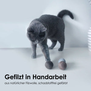 Gatto si avvicina alle palline di feltro SOUND BALLS con campanellino in lana infeltrita a mano