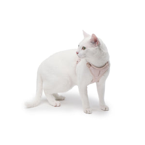 Weiße Katze steht mit rosa EXPLORER Katzenbrustgeschirr Hello Kitty Edition