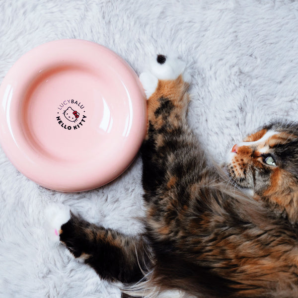 Katze streckt sich neben rosé DROP Katzennapf - Hello Kitty Edition mit Logo-Prägung