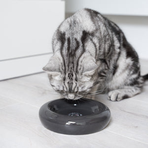 Katze frisst aus schwarzem DROP Katzennapf - Hello Kitty Edition