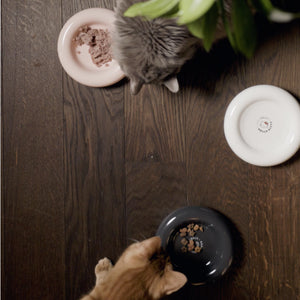 Katzen fressen aus schwarzem und weißem DROP Katzennapf - Hello Kitty Edition sowie einem rosé Napf