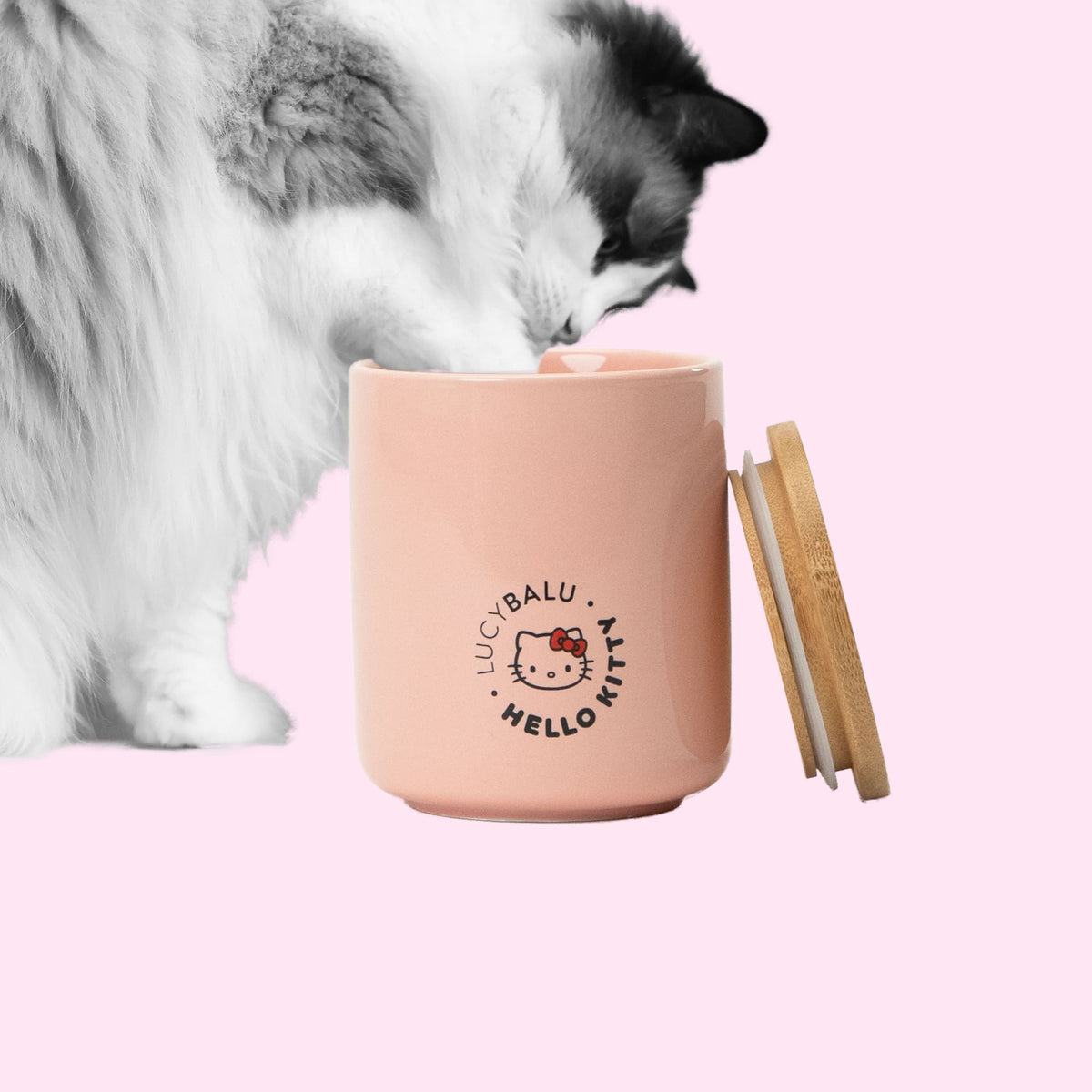 Katze schnuppert an rosé SNACK BAR Leckerlidose - Hello Kitty Edition mit Bambusdeckel