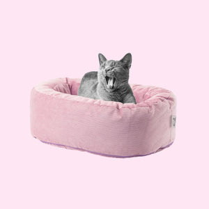 Gähnende Katze im rosa DINGHY Katzenbett Hello Kitty Edition aus Cord