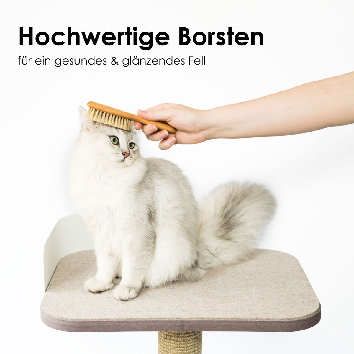 Un chat toiletté avec la brosse pour chat FIGARO sur un arbre à chat – poils de haute qualité