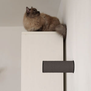 Tiragraffi JUMPER LITE in antracite a parete, gatto siamese seduto sull'armadio accanto